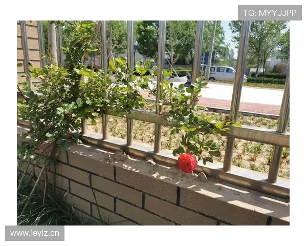 开云KYKY在线登录界面操作简便新用户快速熟悉流程