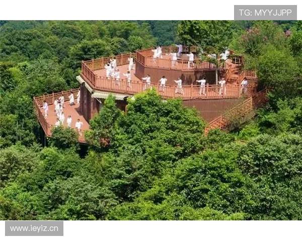 im体育助力体育迷随时随地享受高质量的体育内容体验