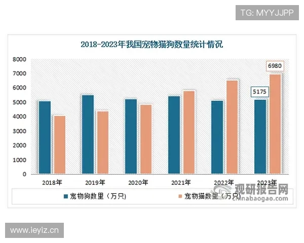 万狗体育:引领宠物运动行业标准化与专业化发展 万狗体育:引领宠物运动行业标准化与专业化发展