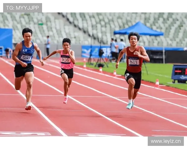 专家解析U体育下载的优势,助力体育迷轻松获取最新赛事内容 专家解析U体育下载的优势,助力体育迷轻松获取最新赛事内容