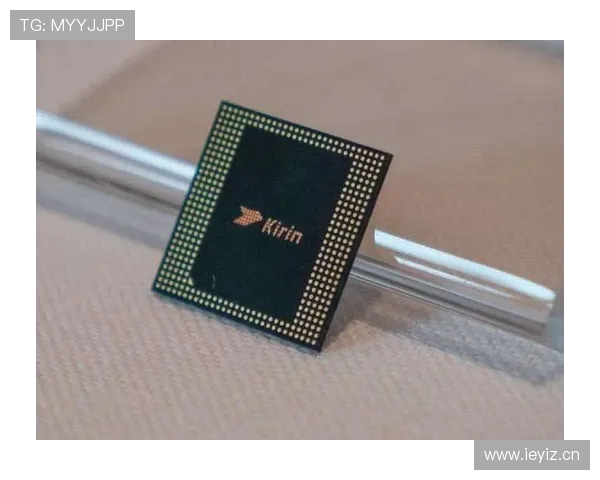 三亿体育的网址常见问题解答，解决用户在访问和使用过程中遇到的疑问